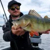 Chatterbait MEGABASS Wild header 28g