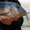 Esca morbida MEGABASS Giant X layer super