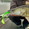 Esca morbida MEGABASS X Layer curly 7