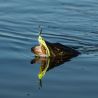Chatterbait MEGABASS Wild header 21g