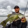 Esca morbida RAID JAPAN Battle hog 4.4