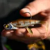 Soft bait RAID JAPAN Head swimmer libero 10g