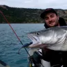 Soft bait SAWAMURA One up shad 5