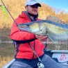 Soft bait SAWAMURA One up shad 6