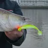 Esca morbida SAWAMURA One up shad 6