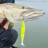Soft bait SAWAMURA One Up Shad 7