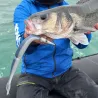 Esca morbida SAWAMURA One up V tail 8