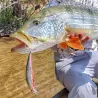 Pesce artificiale TACKLE HOUSE K Ten blue ocean BKS 140