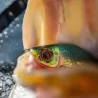 Pesce artificiale CWC Guppie downsize