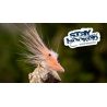Amo mosca AHREX NS150 Curved Shrimp