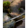 Canna spinning FAVORITE Arena River