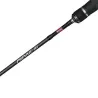 Canna casting PENN Prevail III Jigging cast