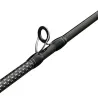 Canna casting PENN Prevail III Jigging cast