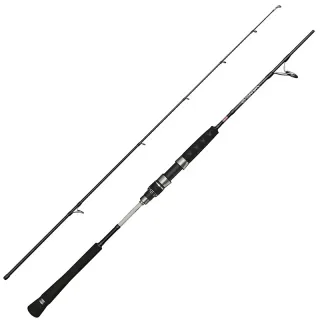 Canna spinning PENN Prevail III Jigging spin