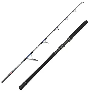 Canne casting PENN Overseas XT II Jigging