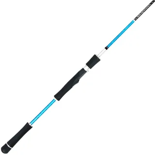 Canna spinning SMITH Dragonbait seabass 73 X