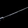 Canna casting TENRYU Bay Blaze 601 B XXX