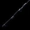 Canna casting TENRYU Bay Blaze 601 B XXX