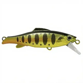 Pesce nuotatore VALKEIN Raxma 55 S