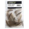 Cul de canard SWISSCDC Ultra Select XL