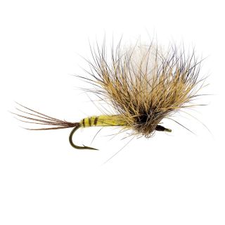 Mosca AB FLY Mosca di maggio PARA MAI LTC