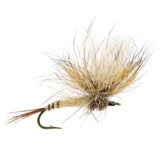 Mosca AB FLY Mosca di maggio PARA MAI BE