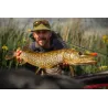 Canna da mosca REDINGTON Big Game 8'3 coda 8