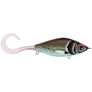 Poisson nageur CWC Guppie downsize