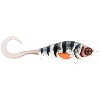Pesce nuotatore CWC Guppie downsize
