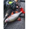 Soft lure FOX RAGE Replicant roach