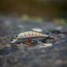 Pesce nuotatore SMITH D Contact 50
