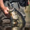 Spinnerbait MEGABASS SV-3 DW 17.5g