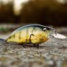 Pesciolino MEGABASS Big M 4.0