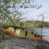 Soft lure MEGABASS Mag draft hasu raver sinking