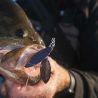 Spinnerbait MEGABASS SV-3 DW 21g