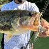 Poisson nageur MEGABASS X-Blazar 21g