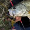 Rubber jig XORUS Ulti rubber jig 28g