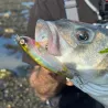 Esca di superficie XORUS Z Claw evo