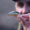 Poisson nageur ZIP BAITS B Switcher 1.0 no rattle
