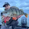 Crankbait ZIP BAITS B Switcher 3.0 no rattle