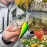 Poisson nageur ZIP BAITS B Switcher 4.0 rattle
