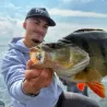 Poisson nageur ZIP BAITS B Switcher 4.0 rattle