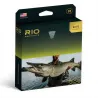 Soie RIO ELITE Musky Outbound