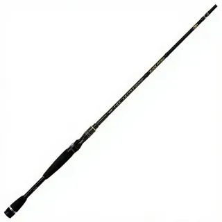 Canne casting ILLEX The artist X5 B 215 MH Black sword démo