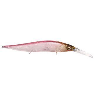 Poisson nageur MEGABASS Vision 110 +2 JR
