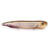 Surface lure MEGABASS Dogmax walking model