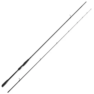 Canne spinning SHIMANO Exsence genos 25