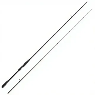 Spinning rod SHIMANO Exsence Genos 25