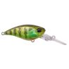 Poisson nageur DUO Realis cranking shad 40 MR