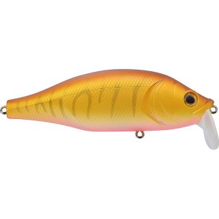 Poisson nageur XORUS Dango 120 SR